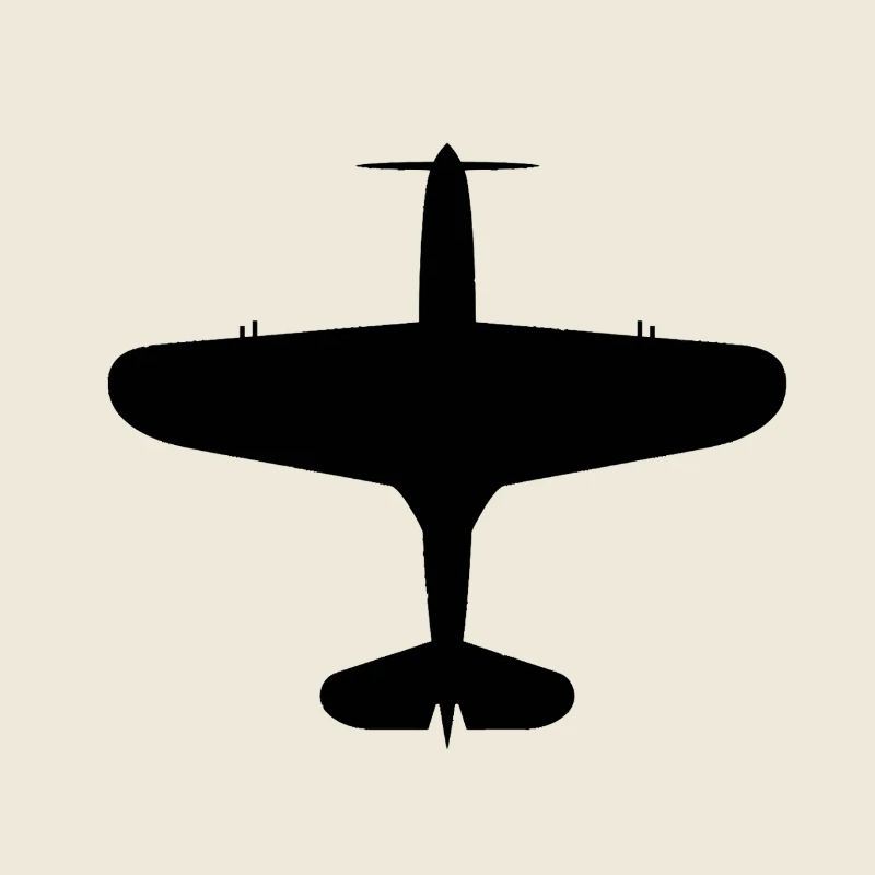Top-Down Flugzeug Silhouette