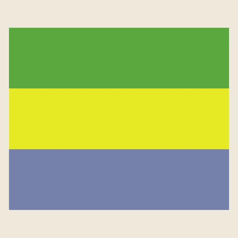Drapeau gabonais