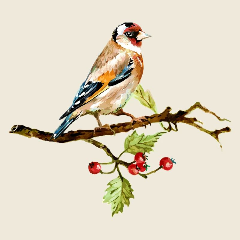 oiseau