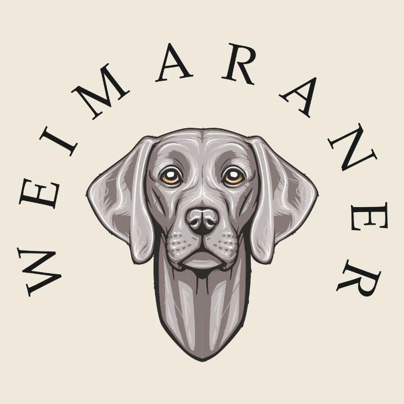 Weimaraner