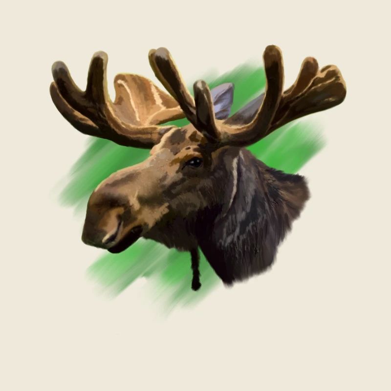 élan