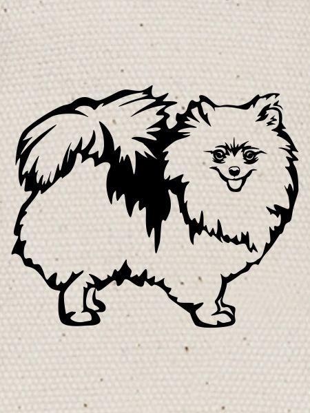 Dwarf spitz