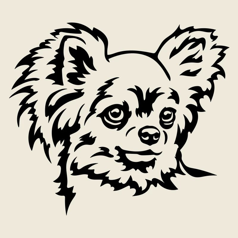 Tête de Chihuahua