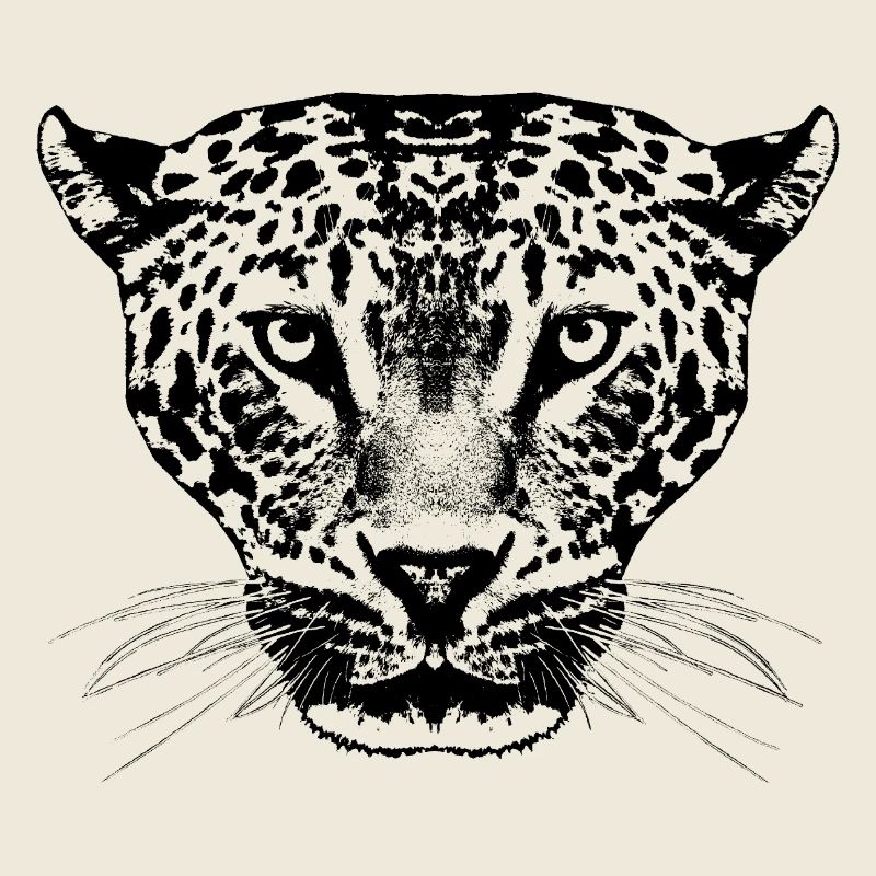Léopard / Tête
