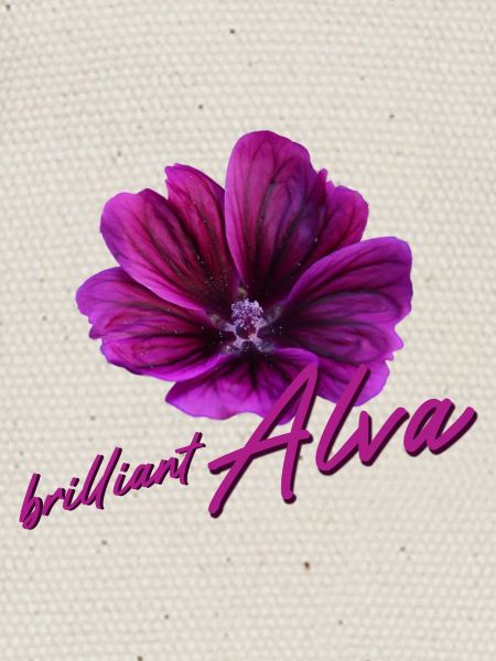 Alva Anniversaire Alva