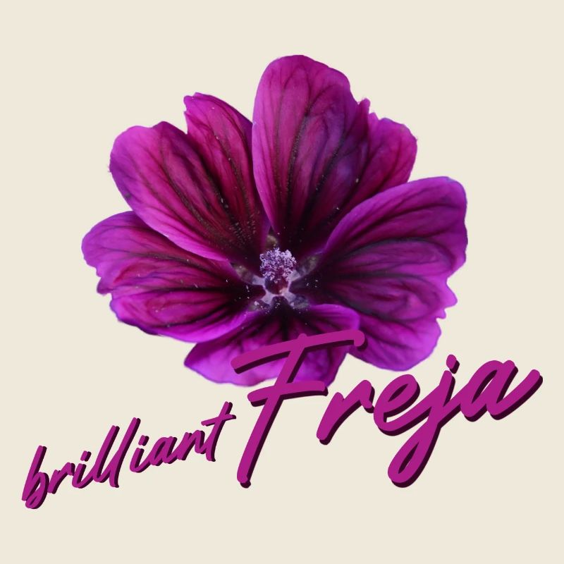 Freja Geburtstag Freja