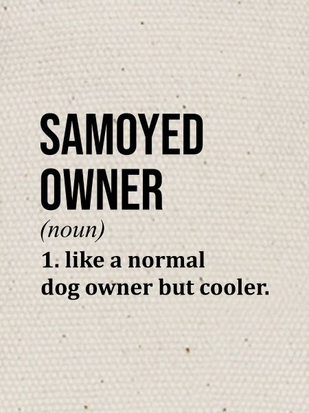 Samoyed Samoyed Samoyed