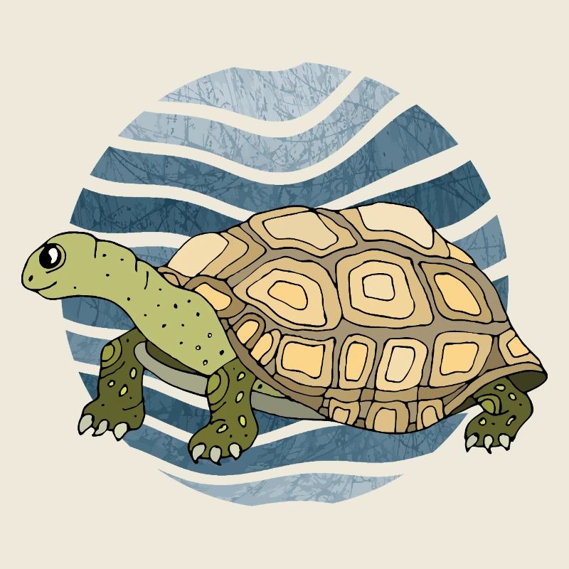 tortoise
