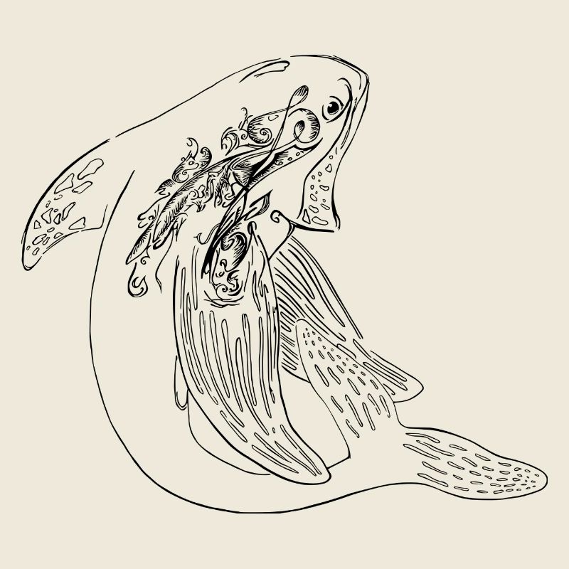 Unique Whale
