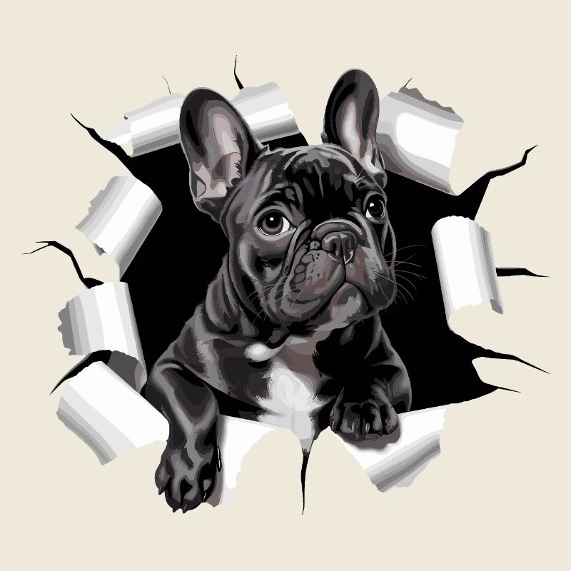 Chiot bouledogue français perce la percée