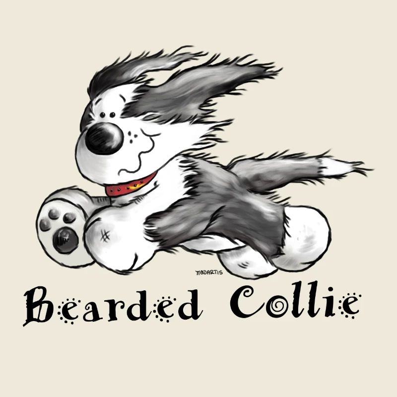 Bearded Collie