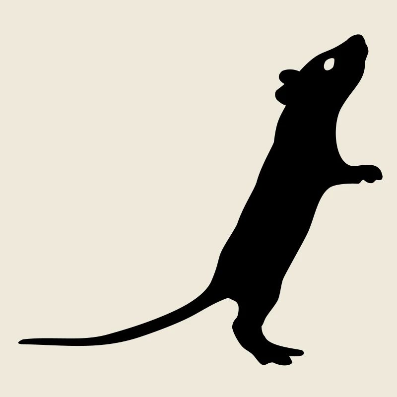 Ratte