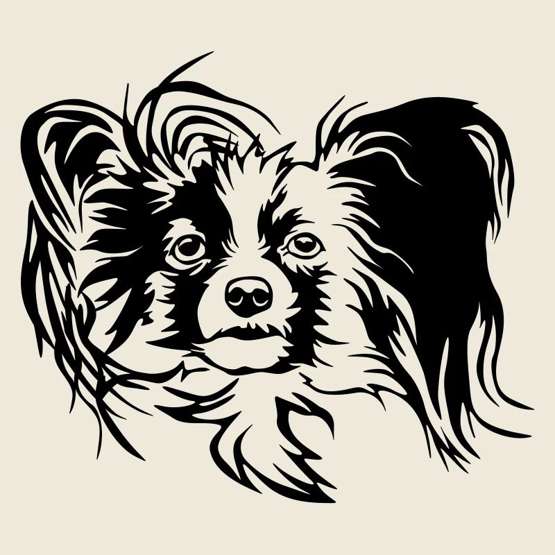 Papillon tête
