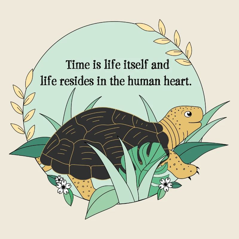 Schildkröte Kassiopeia