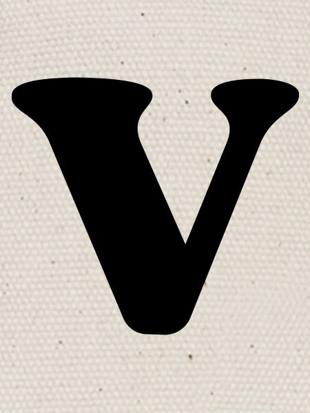Lettre v