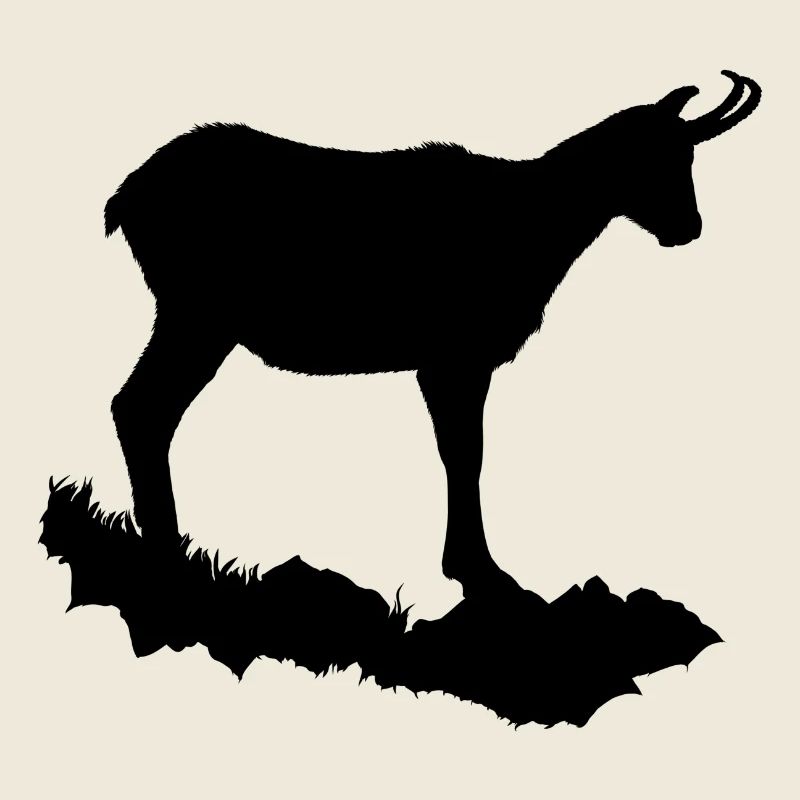Chamois