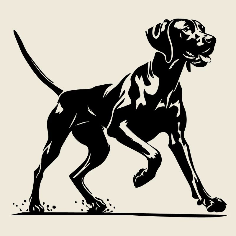 Magyar Vizsla
