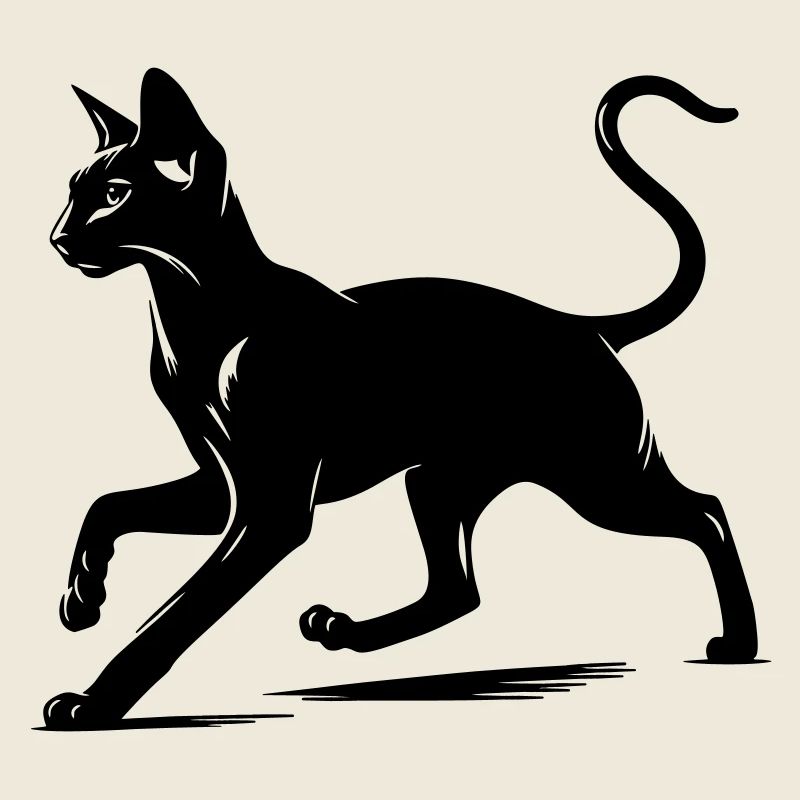 Orientalisch Kurzhaar Katze