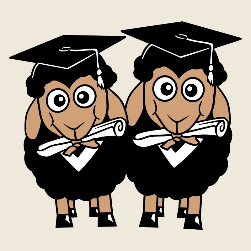 2 Sheep Certificate College Abi Two Students Team
