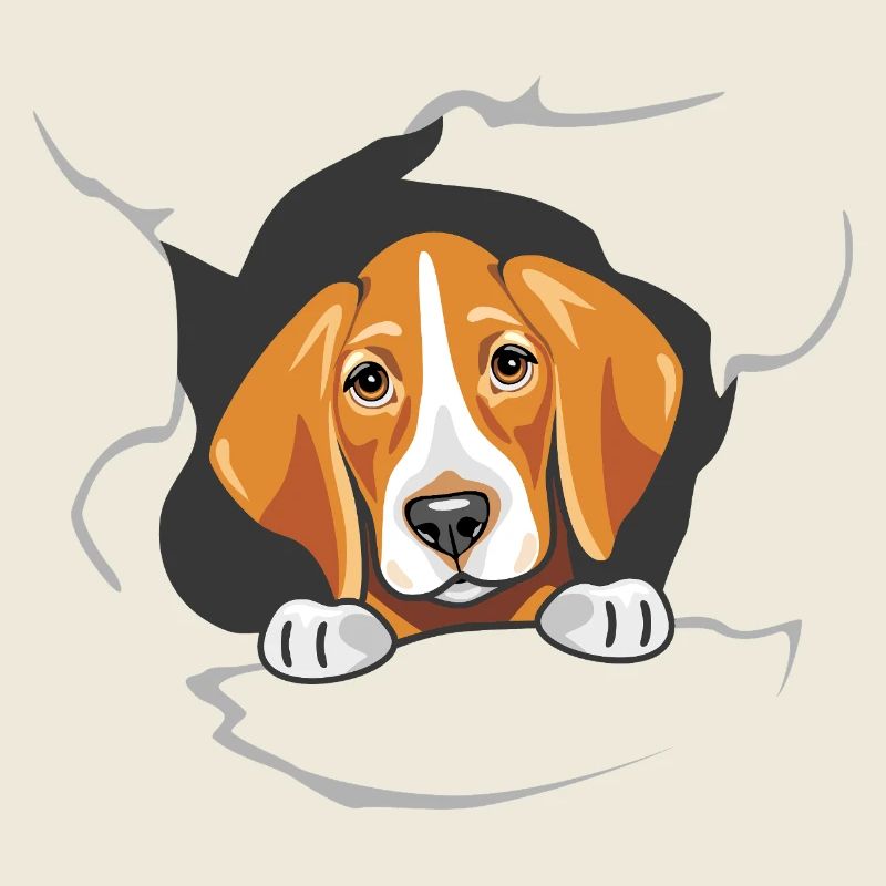 Un foxhound jette un coup d’œil à travers le papier déchiré