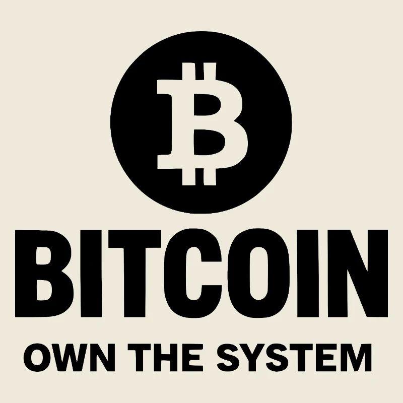 Bitcoin - Posséder le système