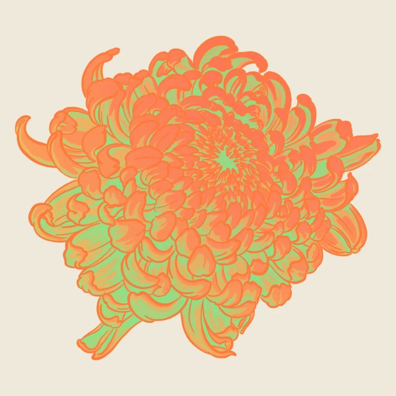 Chrysanthemen-Neonblüten