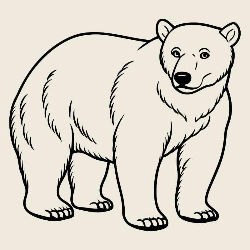 Ours polaire