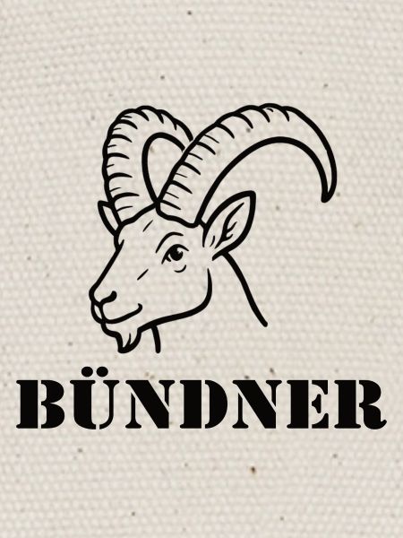 Bündner Alpenbock 