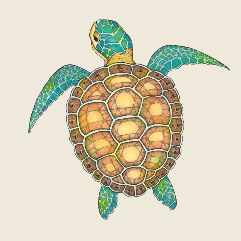 Sea Turtle Hand Drawn