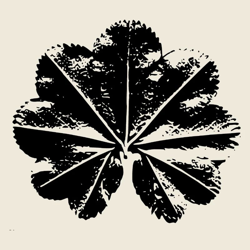 lady's mantle leaf