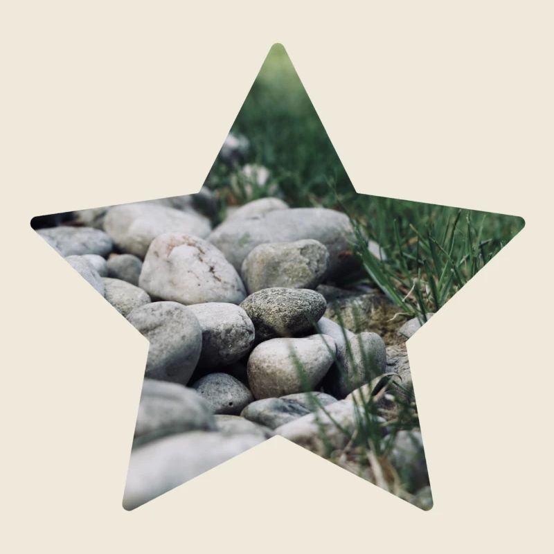 Étoile de la nature