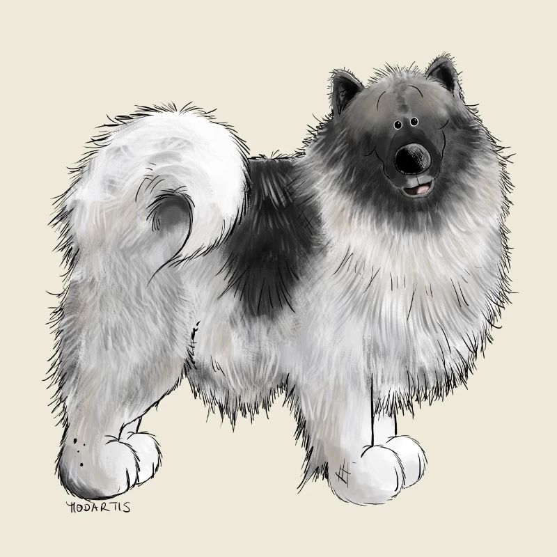 Wolfsspitz dog motif I Comic dog gift