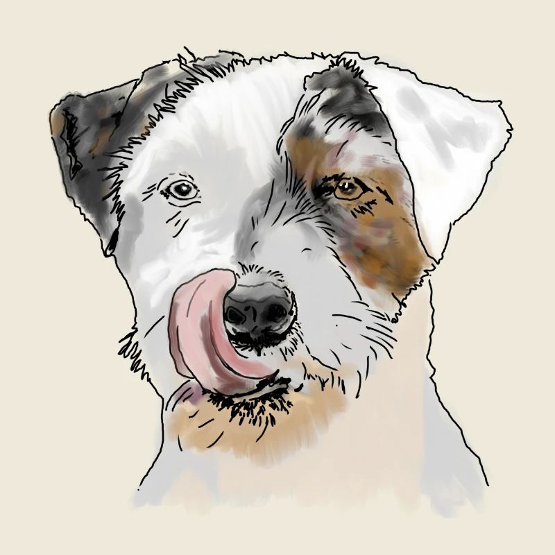 Terrier