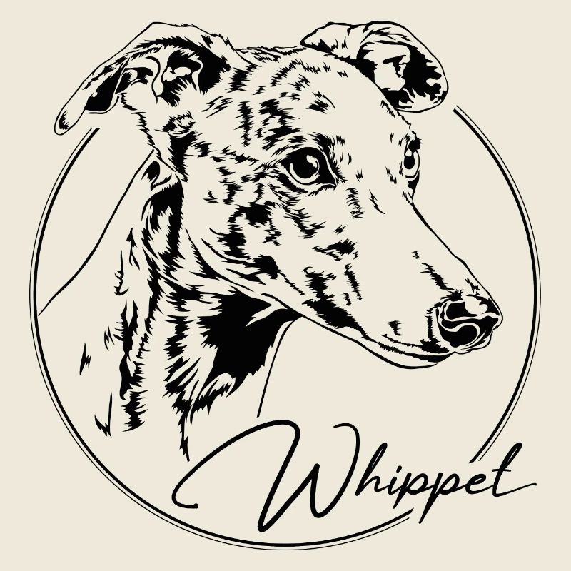 WHIPPET Greyhound Greyhounds Canine Dog Wilsigns