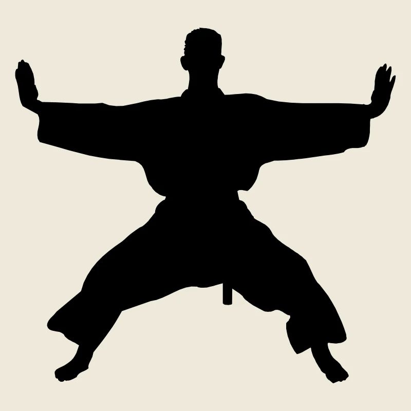 Kata Karate Shotokan
