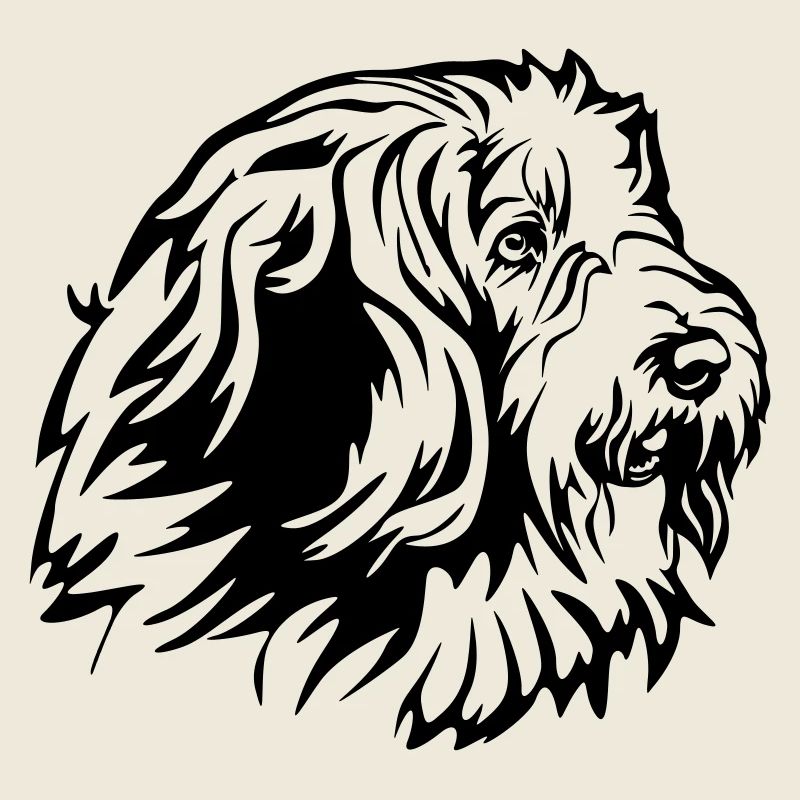 Bearded Collie Kopf