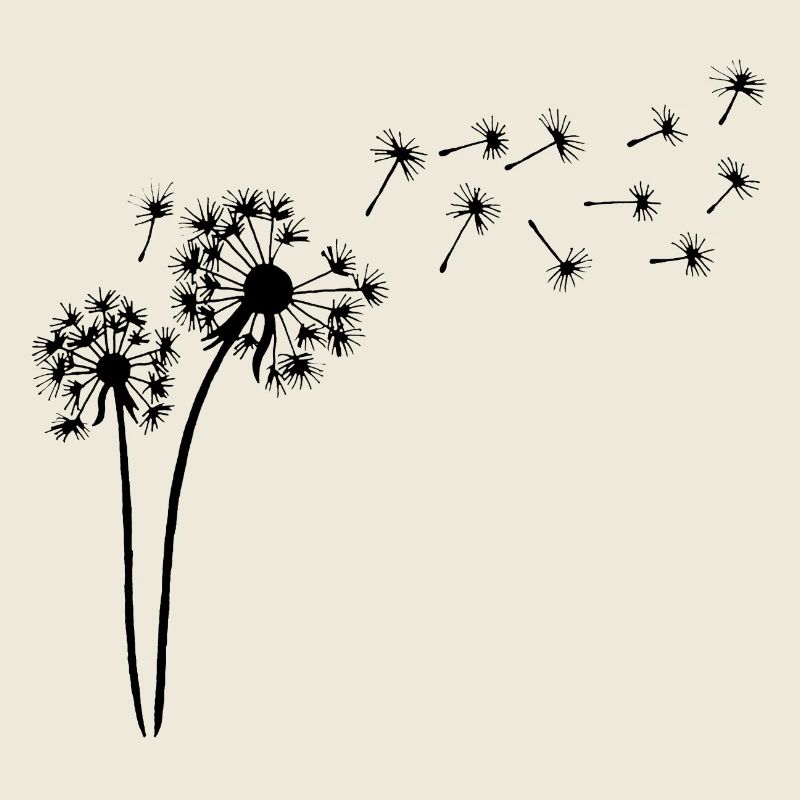 Blüte des schwarzen Löwenzahns