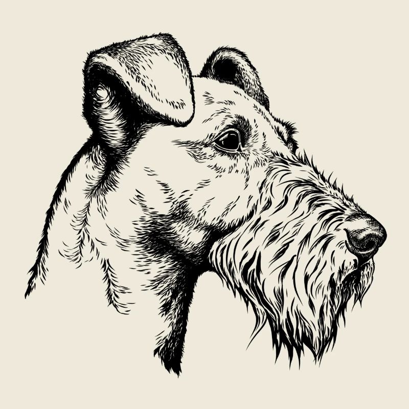 Irish Terrier Portrait