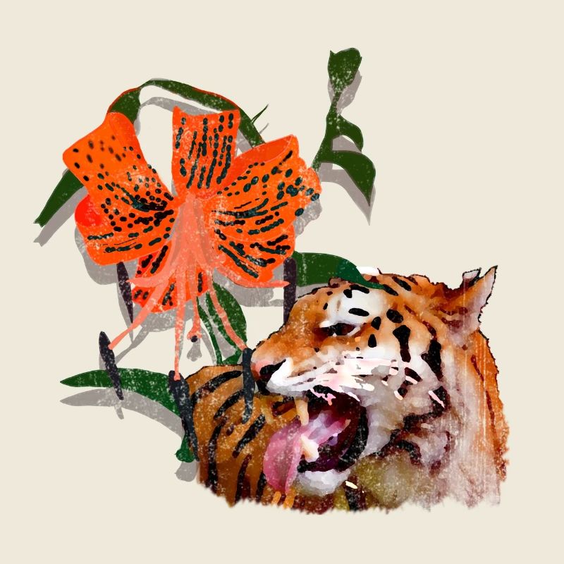 Lys tigre