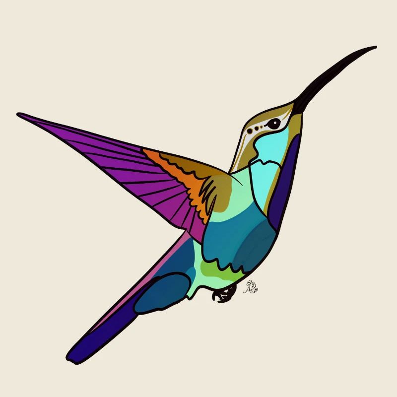 Kolibri farbig