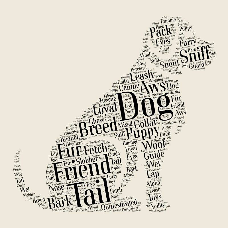 Dog Cloud