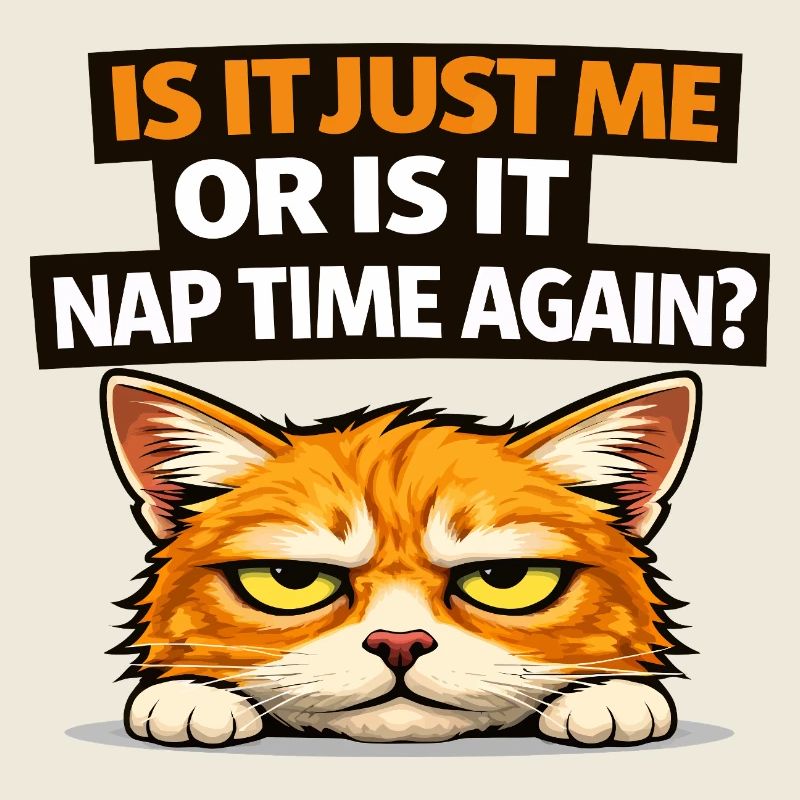 Nap Time Cat Meme