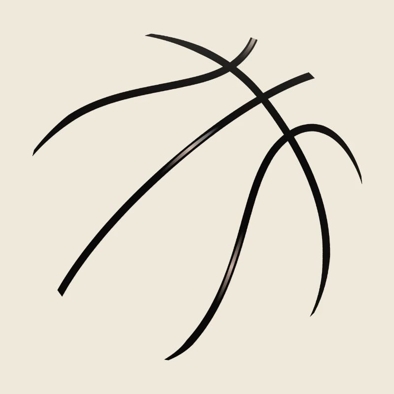 Basket-ball