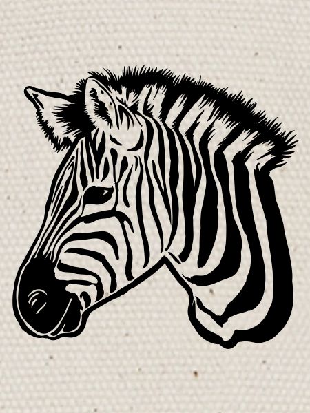 zebra dark
