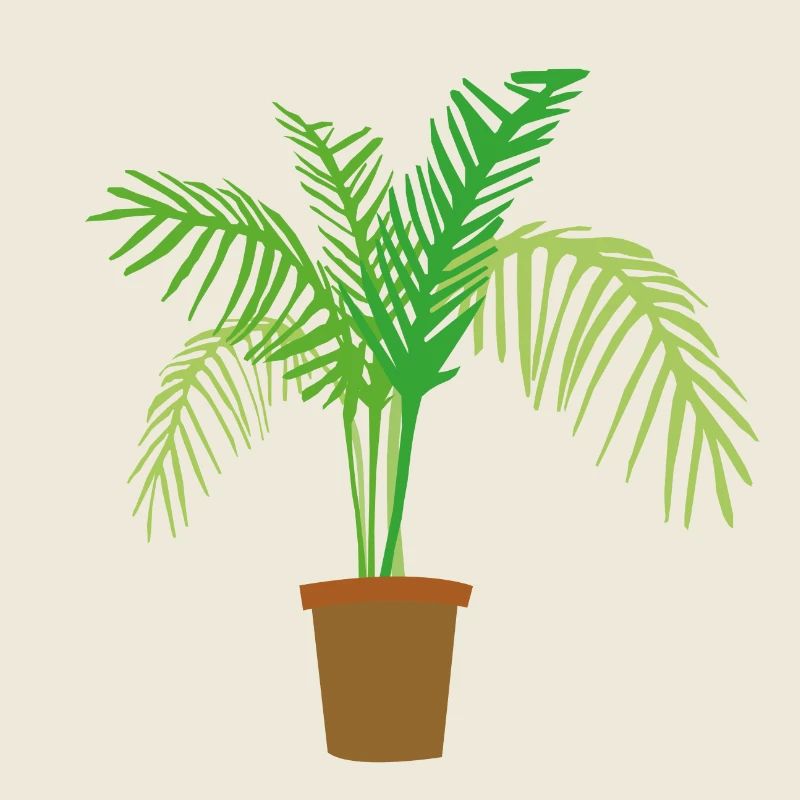 palm tree