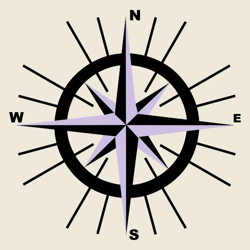 Compass nautique