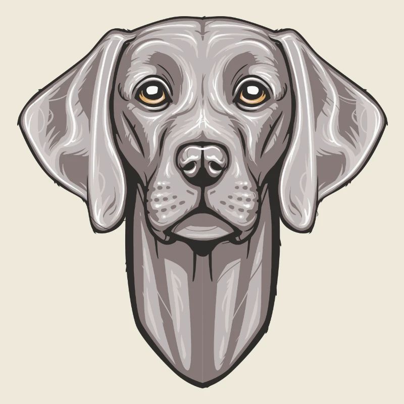 Weimaraner