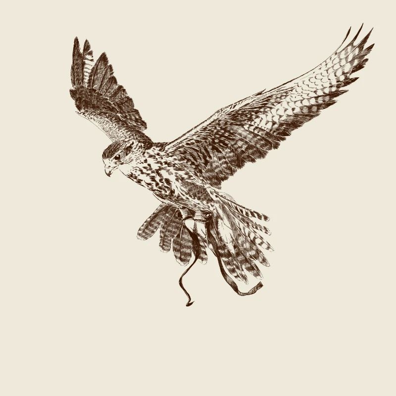 Falkon