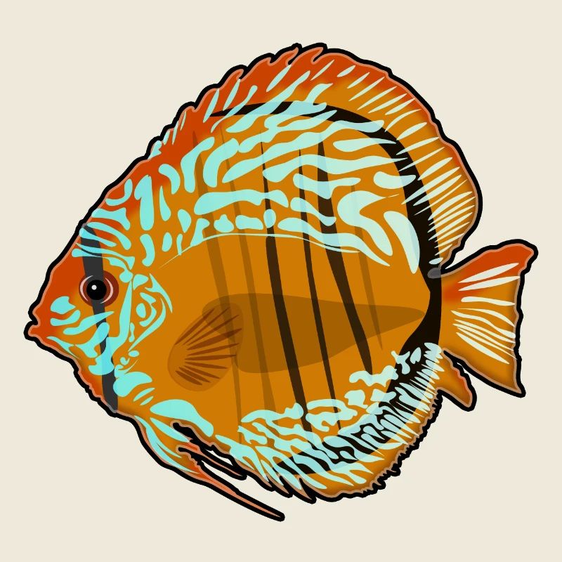 Diskusfisch Aquarium Zeichnung