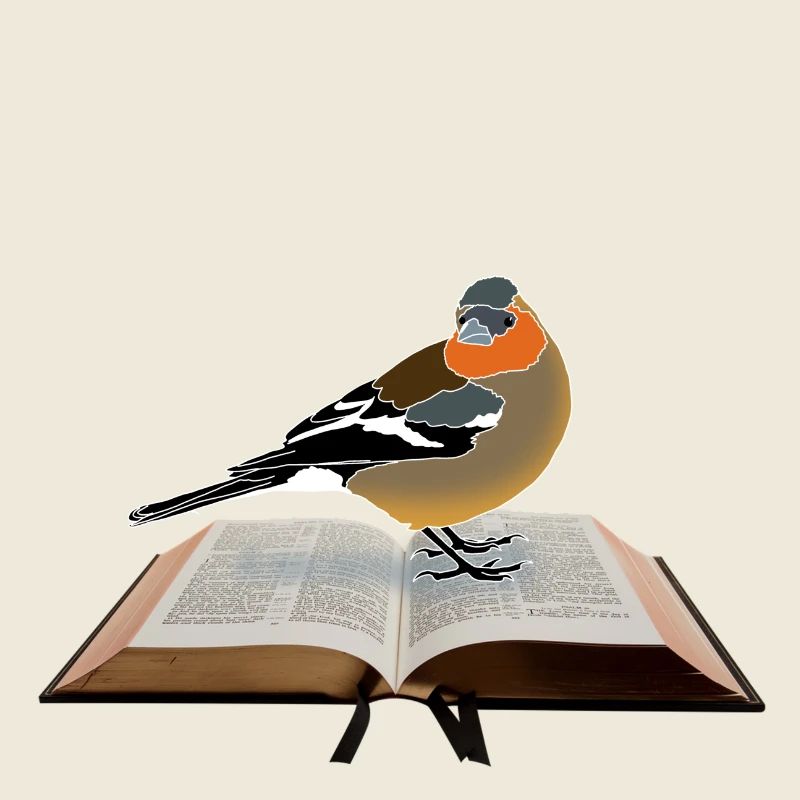 Buchfink auf Buch
